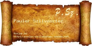 Pauler Szilveszter névjegykártya